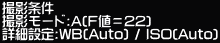 �B�e���� �B�e���[�h:A(F�l��22) �ڍאݒ�:WB(Auto) / ISO(Auto)